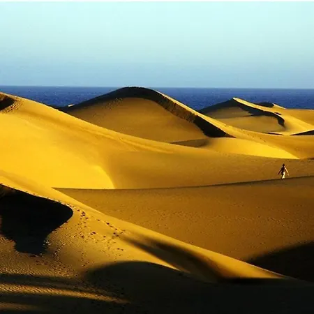 Centrico 737 By Casas Cocodrilo * Playa del Inglés